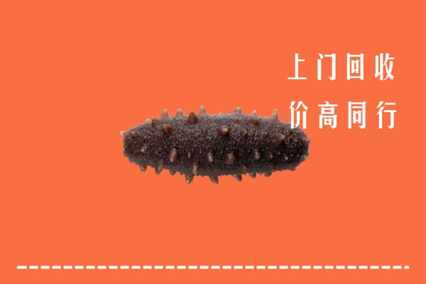 兴安县回收海参